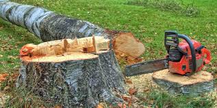 Best Tree Mulching  in Wahese, NC